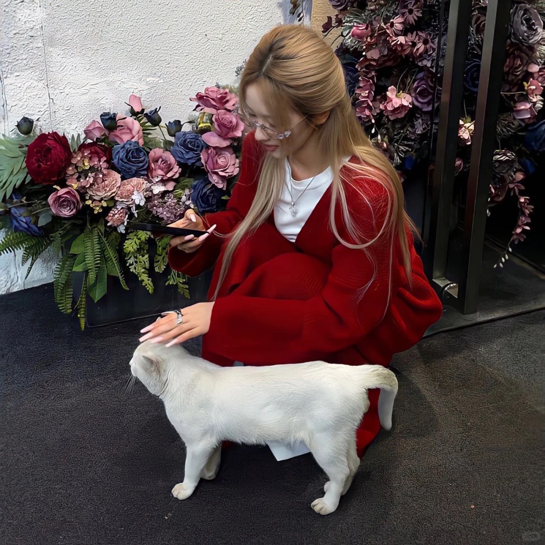 IMG_3688.JPG IMG_3688.JPG